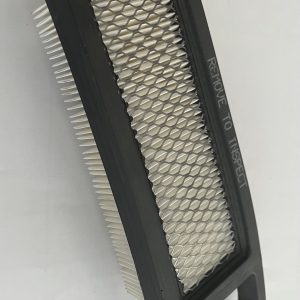 Filtro aire Briggs & Stratton