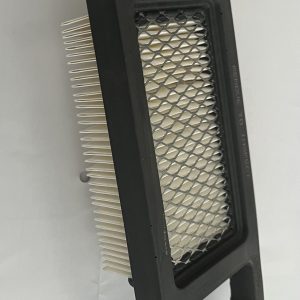 Filtro aire Briggs & Stratton