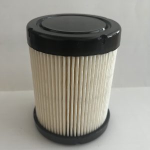 Filtro aire Briggs & Stratton