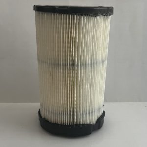 Filtro aire Briggs & Stratton