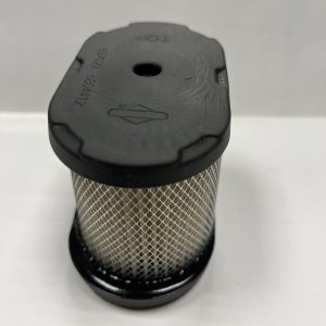 Filtro aire Briggs & Stratton