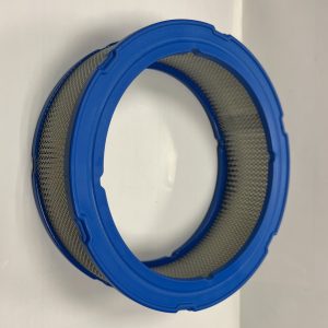 Filtro aire Briggs & Stratton